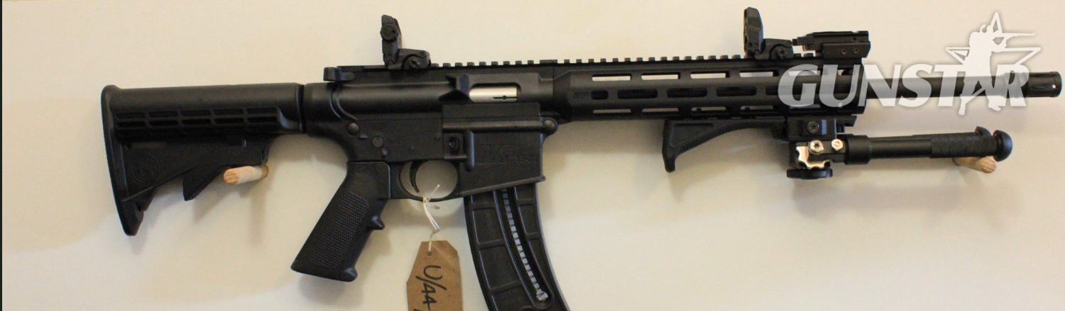 Smith & Wesson M and P 15 22 Semi-Auto .22 Rifle in 