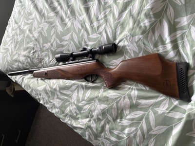 BSA Lightning .22