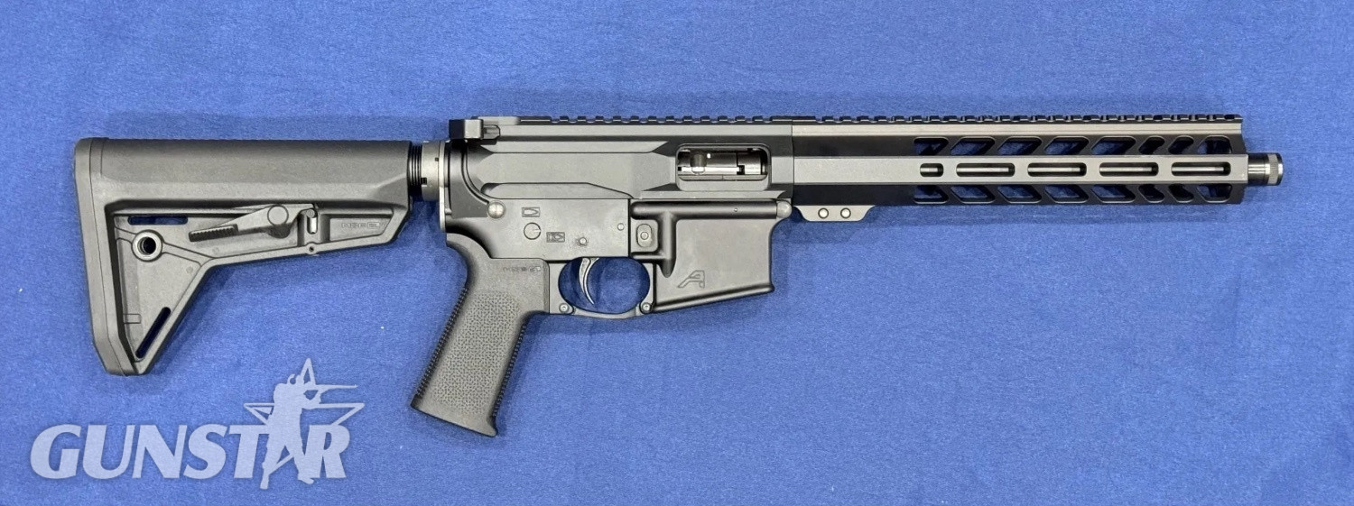 BoreBuddy AR15 Semi-Auto .22 Long Rifle (.22 LR) Rifle in 