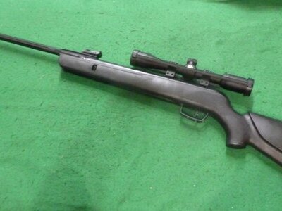 Gamo Whisper Sting .22
