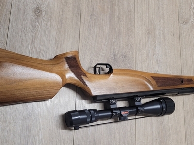 Theoben Evolution .22