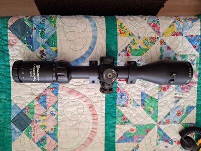 Sight & Optic