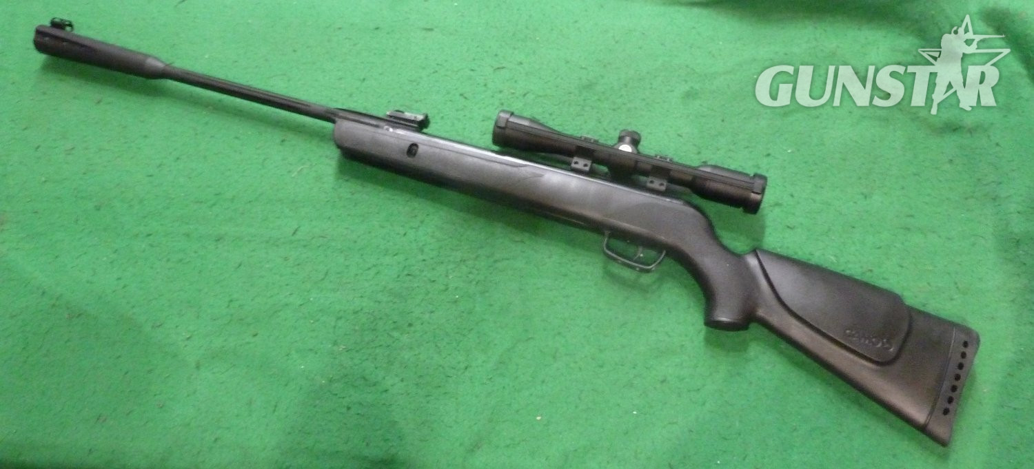 Gamo Whisper Sting .22 in 