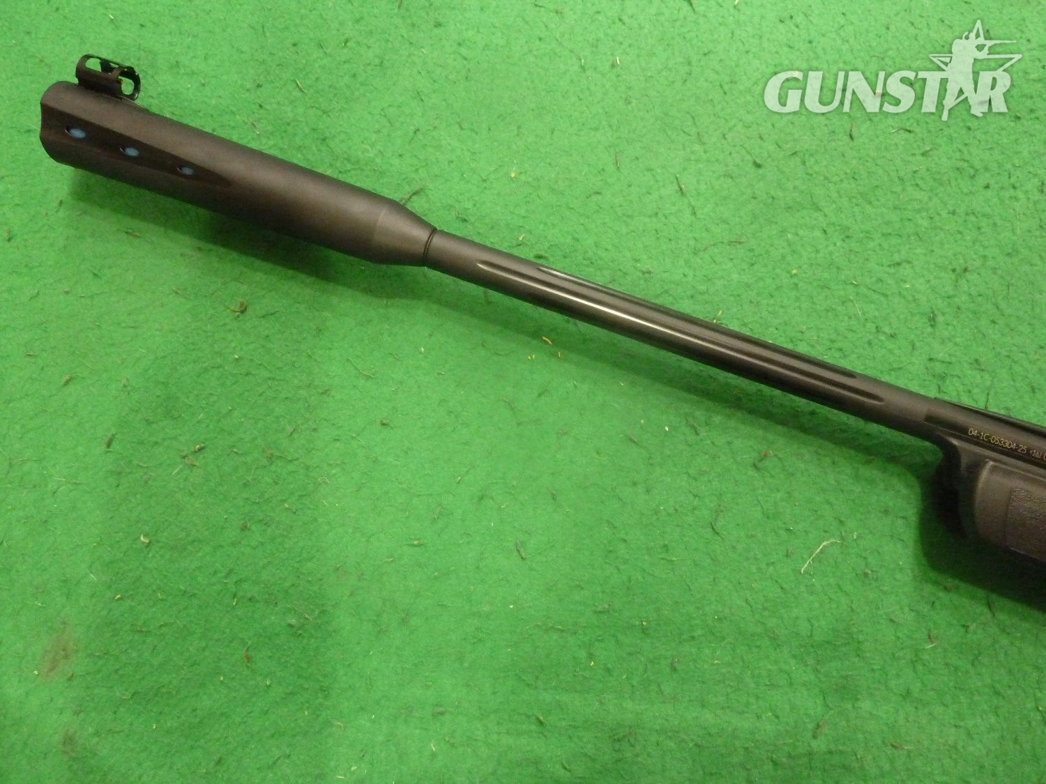 Gamo Whisper Sting .22
