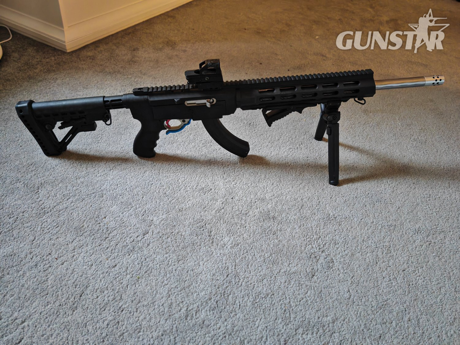 Ruger 10/22 Semi-Auto .22 Long Rifle (.22 LR) Rifle