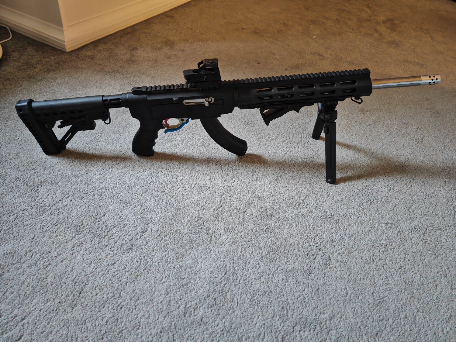 Ruger 10/22 Semi-Auto .22 Long Rifle (.22 LR) Rifle