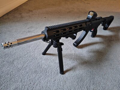 Ruger 10/22 Semi-Auto .22 Long Rifle (.22 LR) Rifle