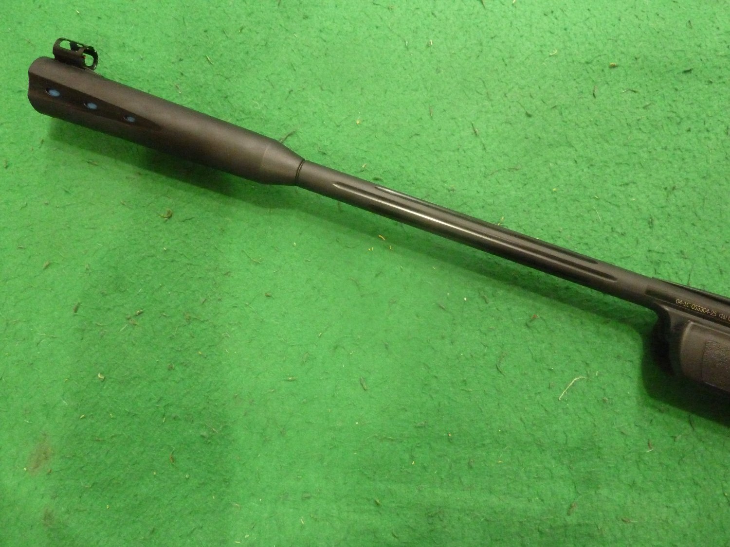Gamo Whisper Sting .22