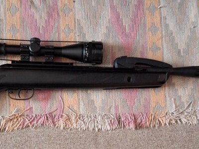 Gamo Varmint Swarm .177 Air Rifle