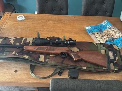 BSA Lightning .22
