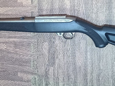 Ruger 10/22 Semi-Auto .22 Long Rifle (.22 LR) Rifle