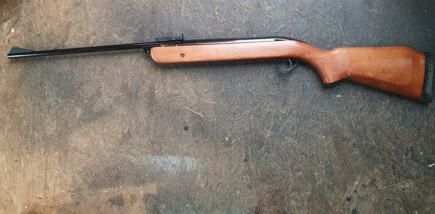 Bsa bsa murcury  Murcury .22