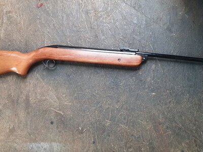 Bsa bsa murcury  Murcury .22