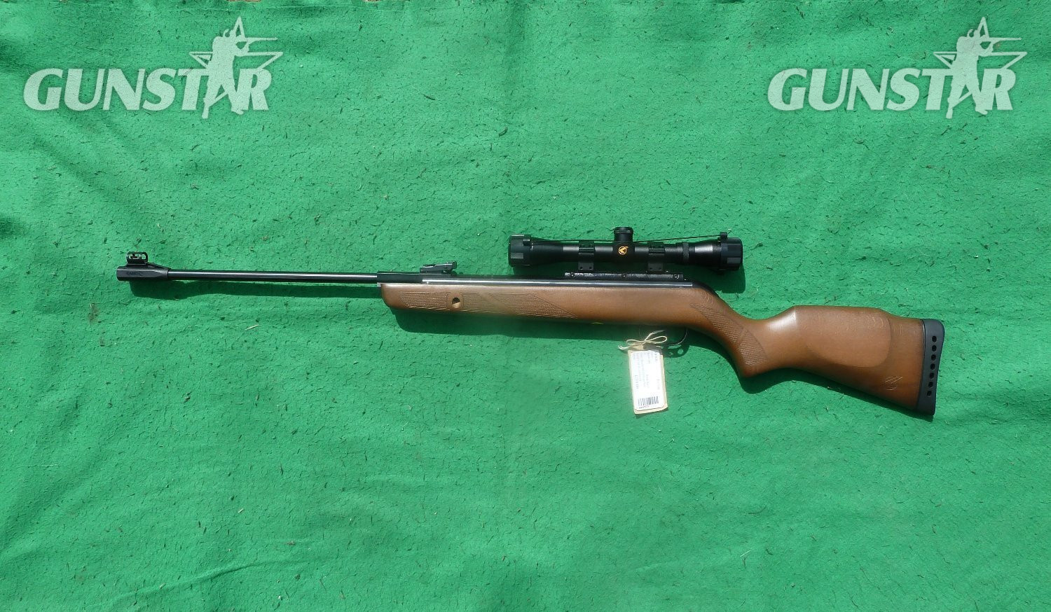 Gamo Hunter 440 .22 in 