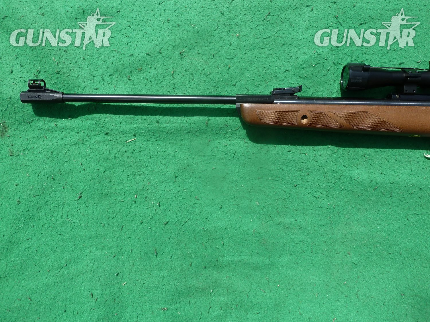 Gamo Hunter 440 .22