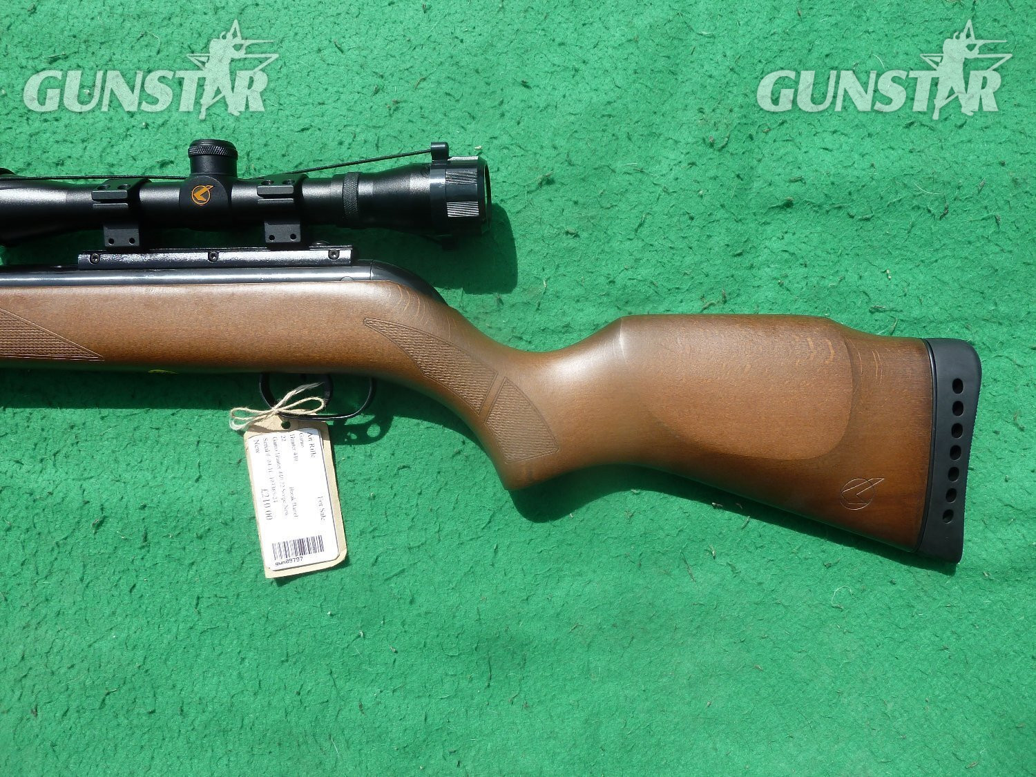  Gamo Hunter 440 .22