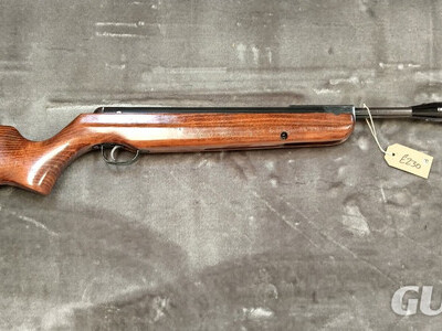 Webley & Scott Stingray .22