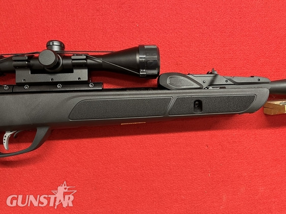  Gamo Roadster 10X Gen2 .22