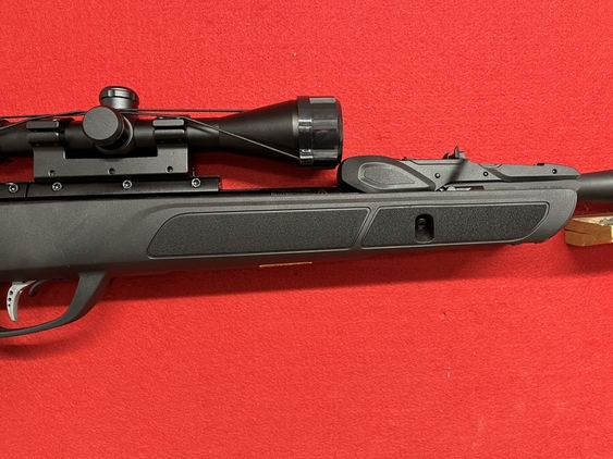  Gamo Roadster 10X Gen2 .22