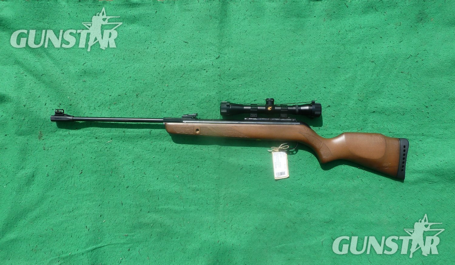 Gamo Hunter 440 .22 in 