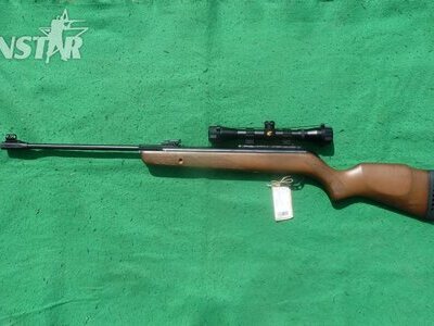 Gamo Hunter 440 .22