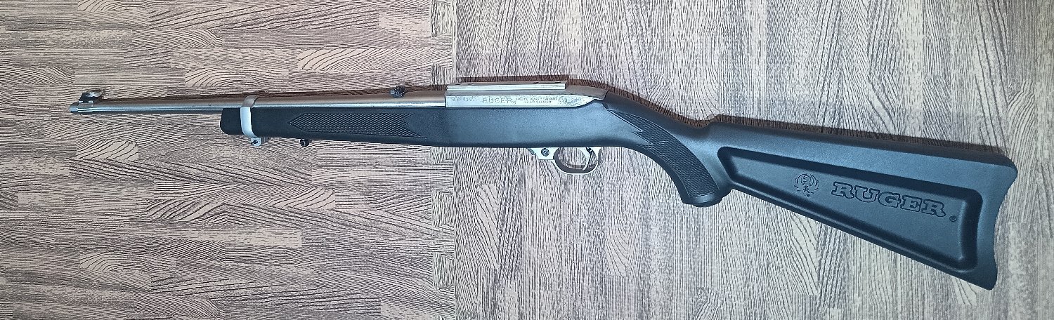 Ruger 10/22 Semi-Auto .22 Long Rifle (.22 LR) Rifle
