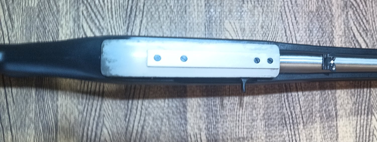 Ruger 10/22 Semi-Auto .22 Long Rifle (.22 LR) Rifle - {CATEGORY} in 