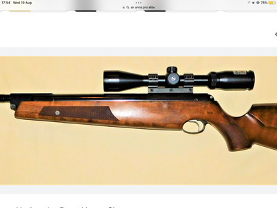 Air Rifle wanted in London