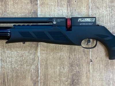 BSA R12 SLX .22