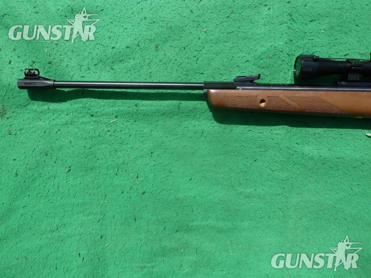  Gamo Hunter 440 .22