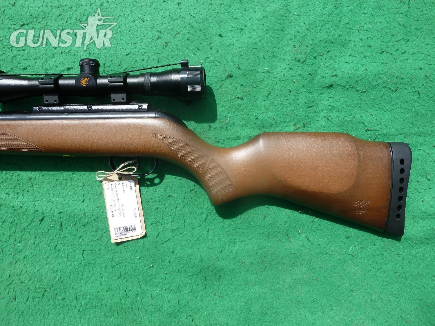 Gamo Hunter 440 .22