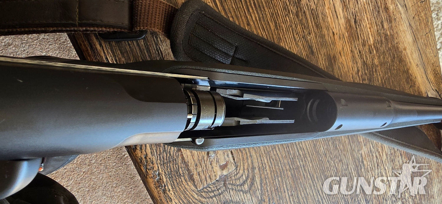 Blaser R8 Professional Success Bolt Action .300 Winchester Magnum Rifle