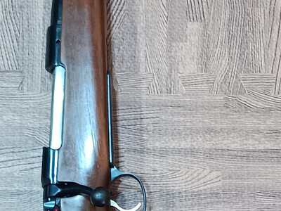 CZ 550 - Scandinavia Bolt Action .243 Rifle