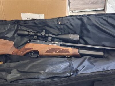BSA Ultra .22