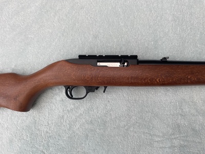 Ruger 10/22 Semi-Auto .22 RF Rifle