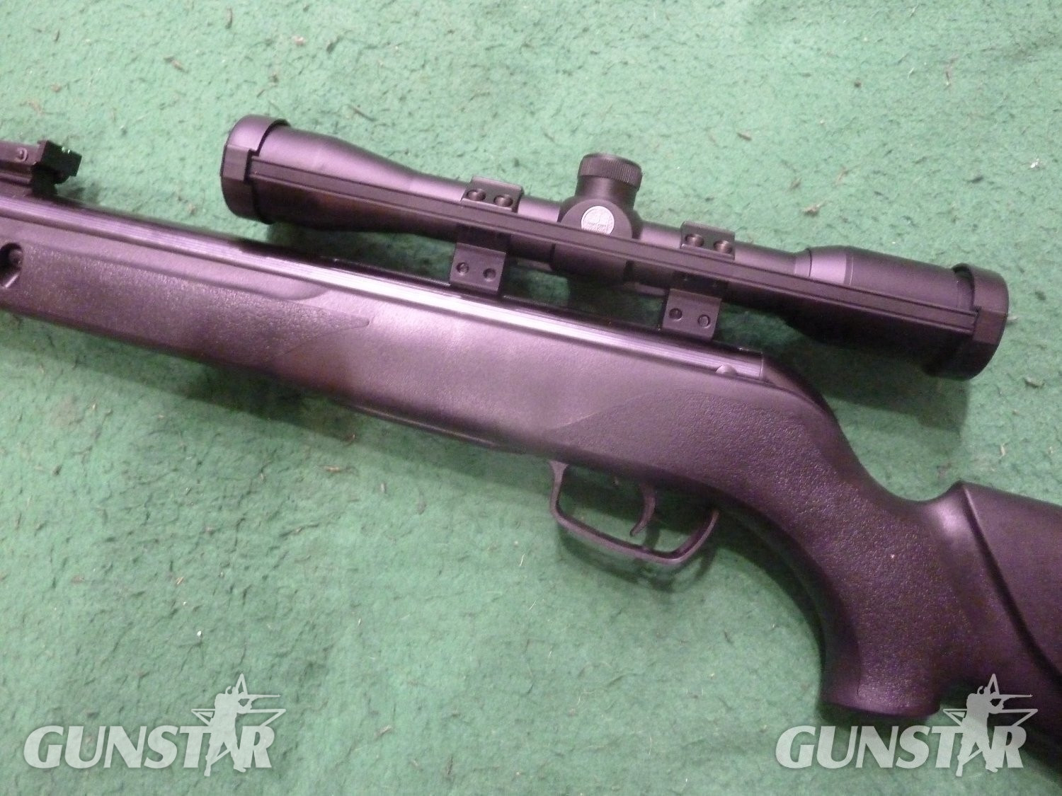  Gamo Whisper Sting .22