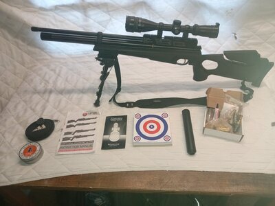 Hatsan Arms AT44-10 .22