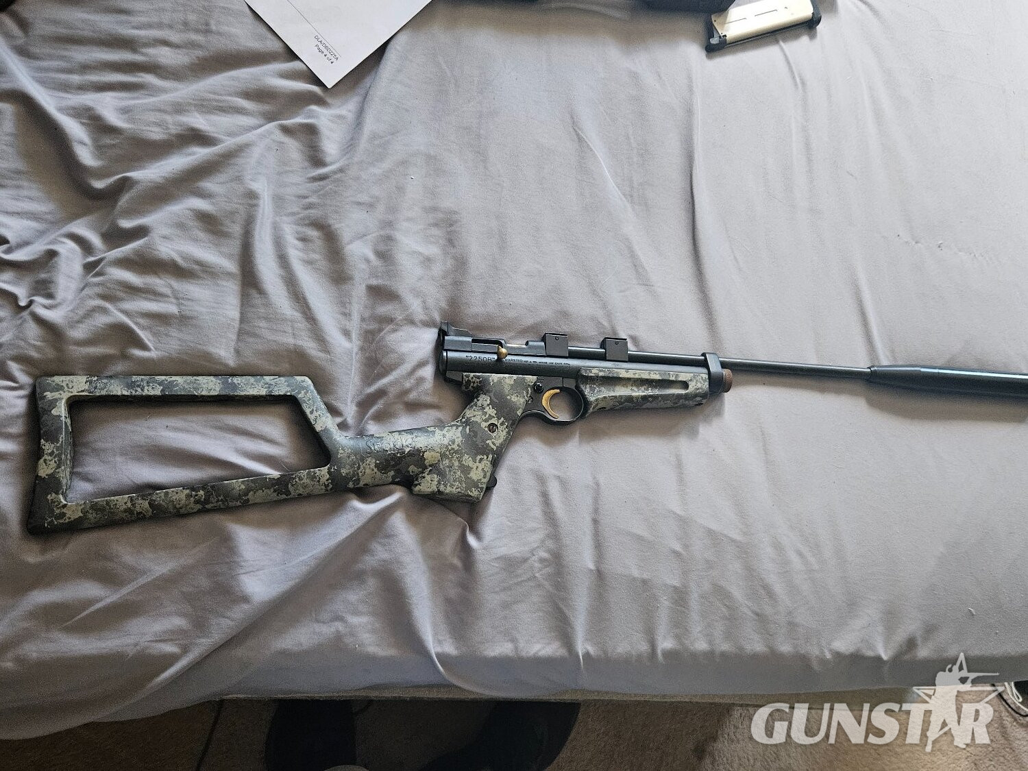 Crosman Ratcatcher .22 in 