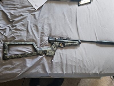 Crosman Ratcatcher .22