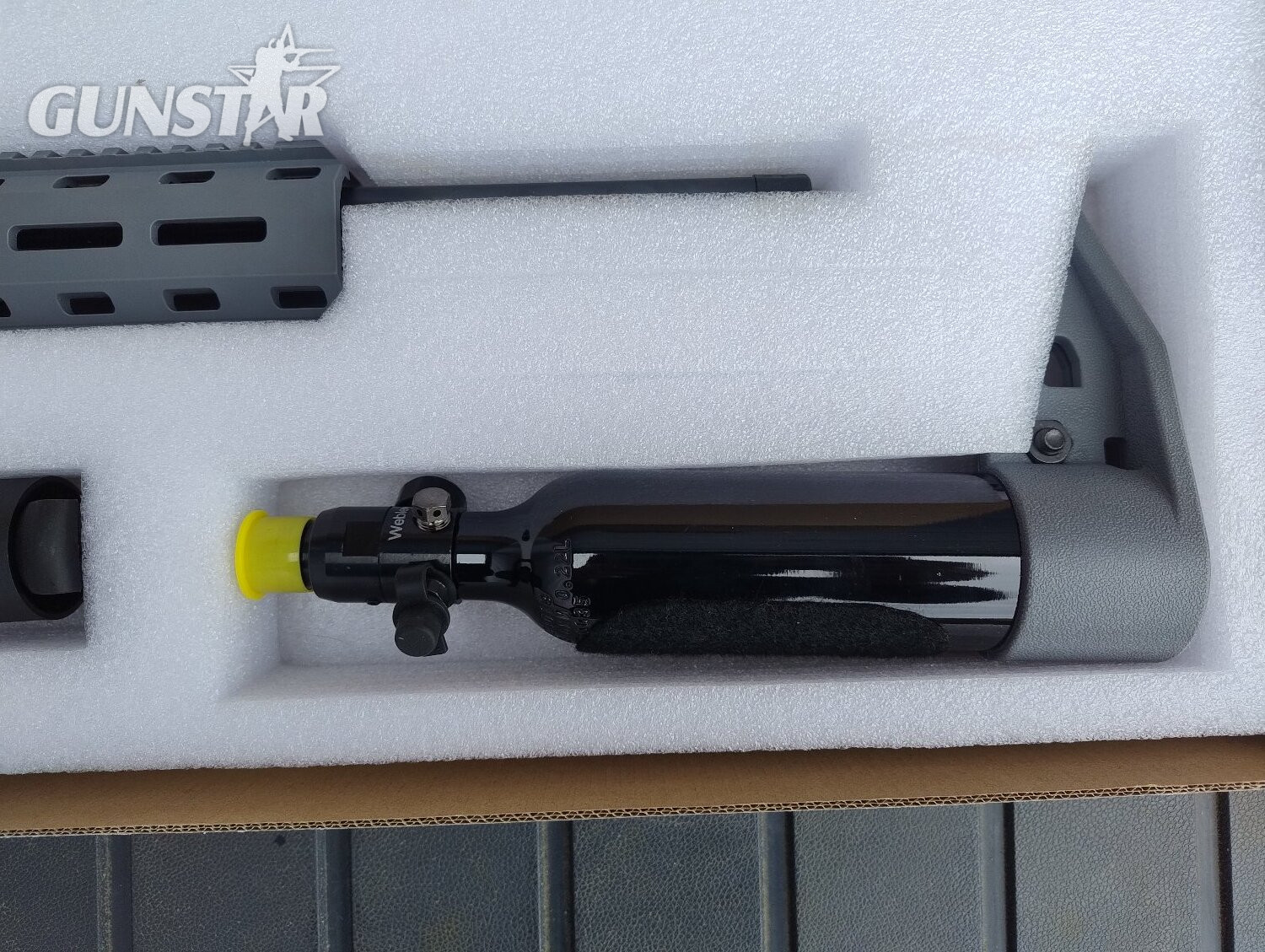  Webley & Scott Nemesis X .22