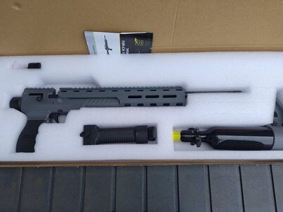 Webley & Scott Nemesis X .22
