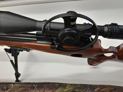 BSA Super 10 .22