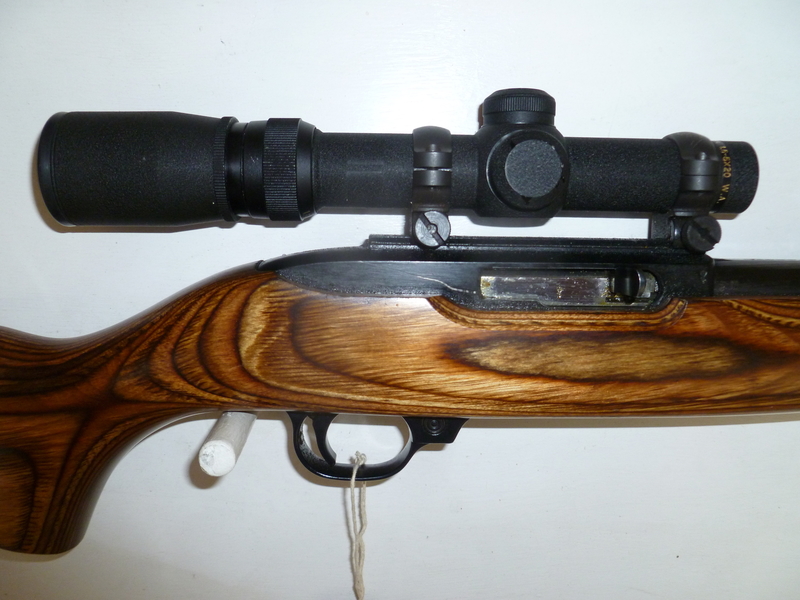 Ruger 10/22 Semi-Auto .22 Rifle