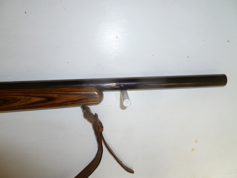 Ruger 10/22 Semi-Auto .22 Rifle - {CATEGORY} in 