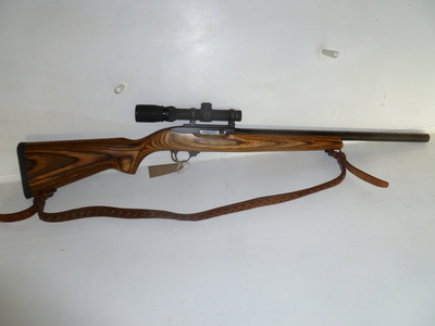 Ruger 10/22 Semi-Auto .22 Rifle