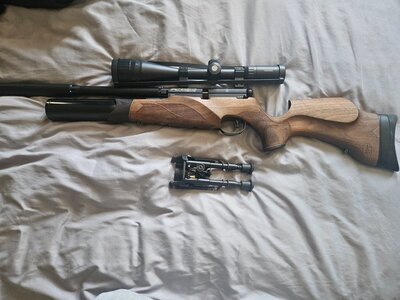 BSA R10 .177
