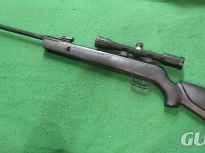 Gamo Whisper Sting .22