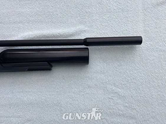 Kral Puncher NP-500 .22