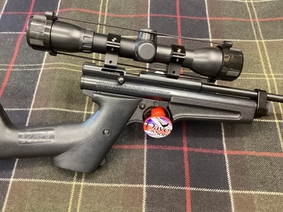 Crosman 2250 XL .22 Air Rifle