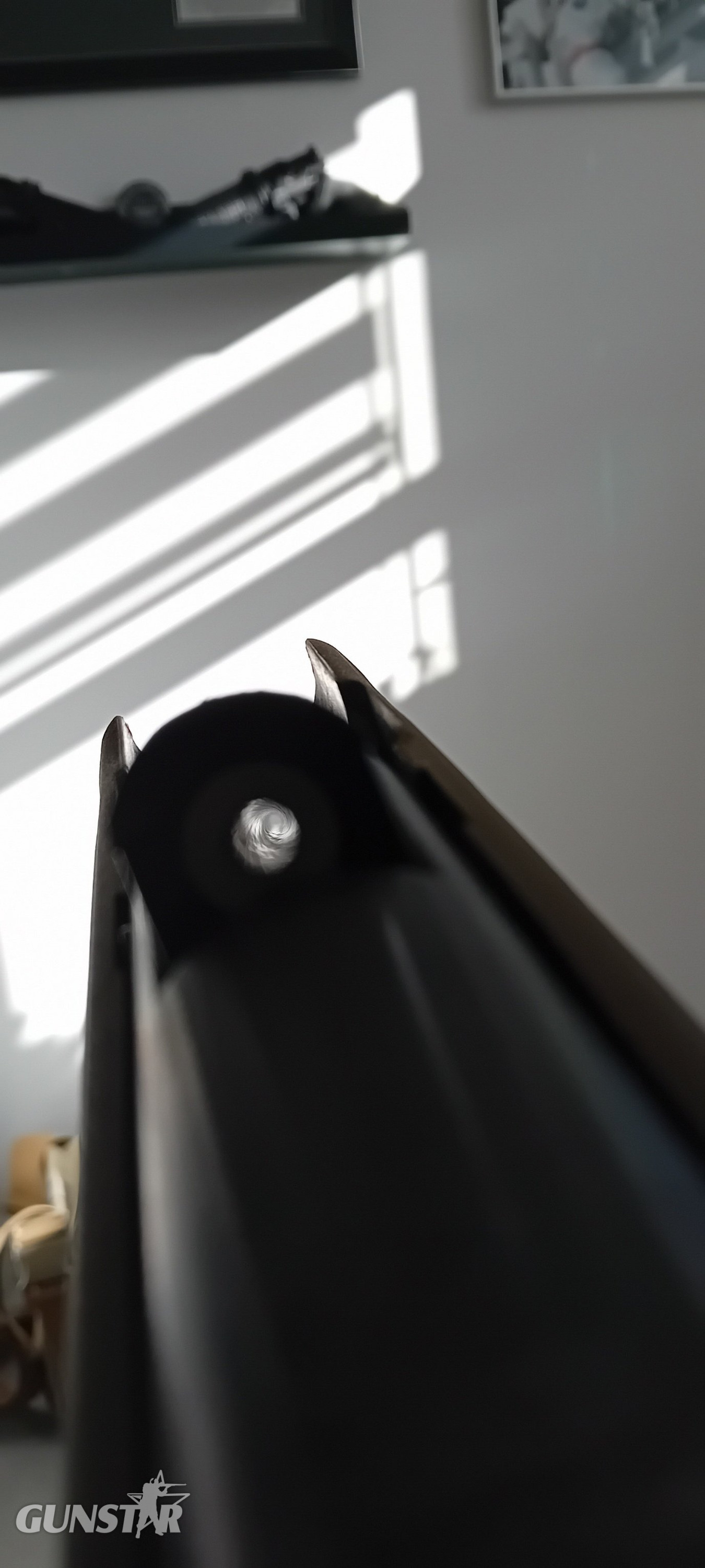  Gamo Varmint Stalker Barricade Maxxim .177